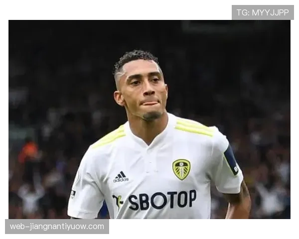 拉菲尼亚距离巴西核心有多远：边路爆点与中路适配性分析